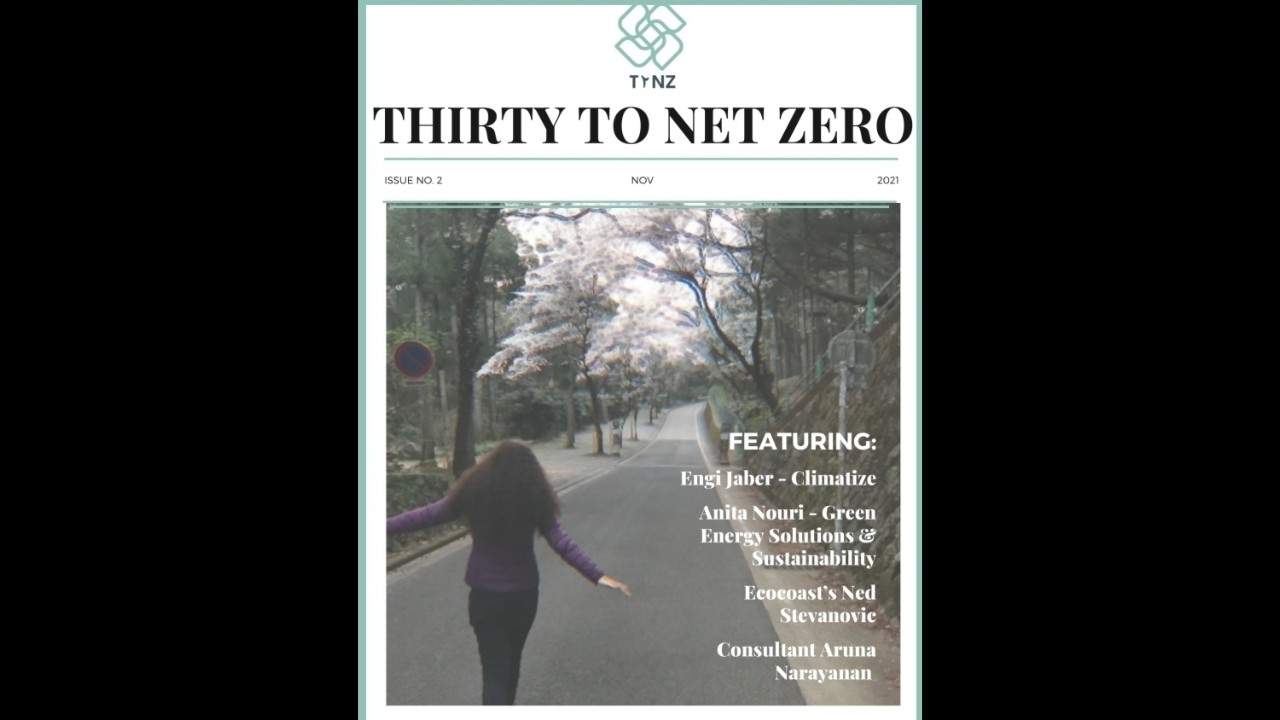 Thirty To Net Zero Issue 2 Image 1
